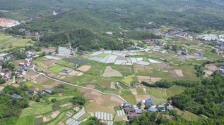 农业大棚种植蔬菜农田航拍 视频素材