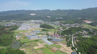 农业大棚种植蔬菜农田航拍 视频素材