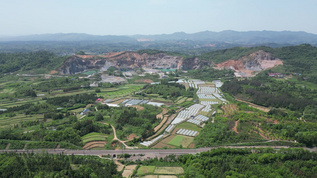 农业大棚种植蔬菜农田航拍 视频素材