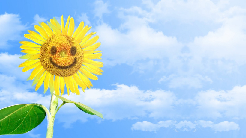 唯美积极向上向日葵微笑动画追求进步