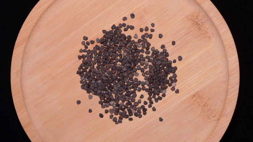 中药草药天星子mp4格式视频下载_正版视频编号4220110-摄图网