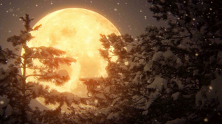 月亮冬天森林星空夜晚背景视频视频素材