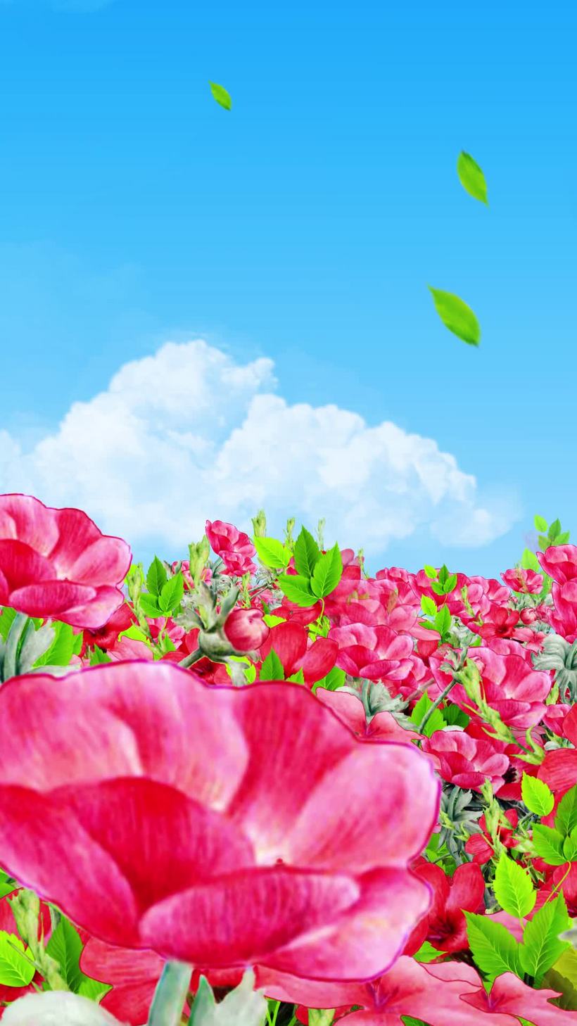 唯美春天花海背景视频素材春暖花开mp4