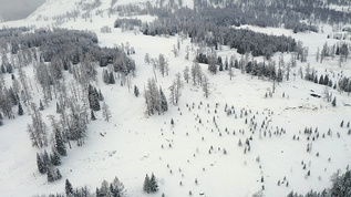 4K航拍新疆冬季原始森林雪景视频素材