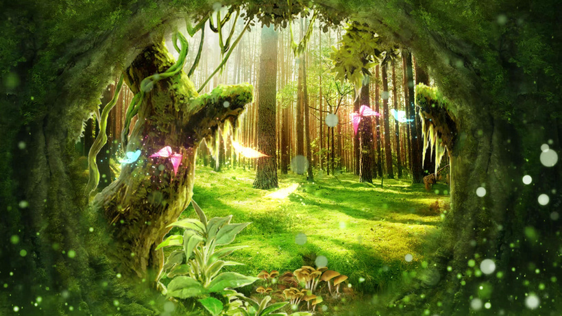 梦幻森林的早晨素材背景视频选题id10984