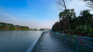 现代城市风光江河桥散步视频素材