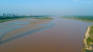 黄河湿地4K航拍视频素材