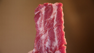 筋膜瘦肉排骨食材[腰大肌]视频模板下载