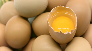 实拍鸡蛋 鸡蛋静物 鸡蛋特写 鸡蛋开壳视频素材