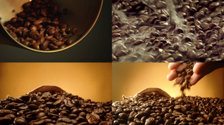 咖啡豆广告素材视频素材