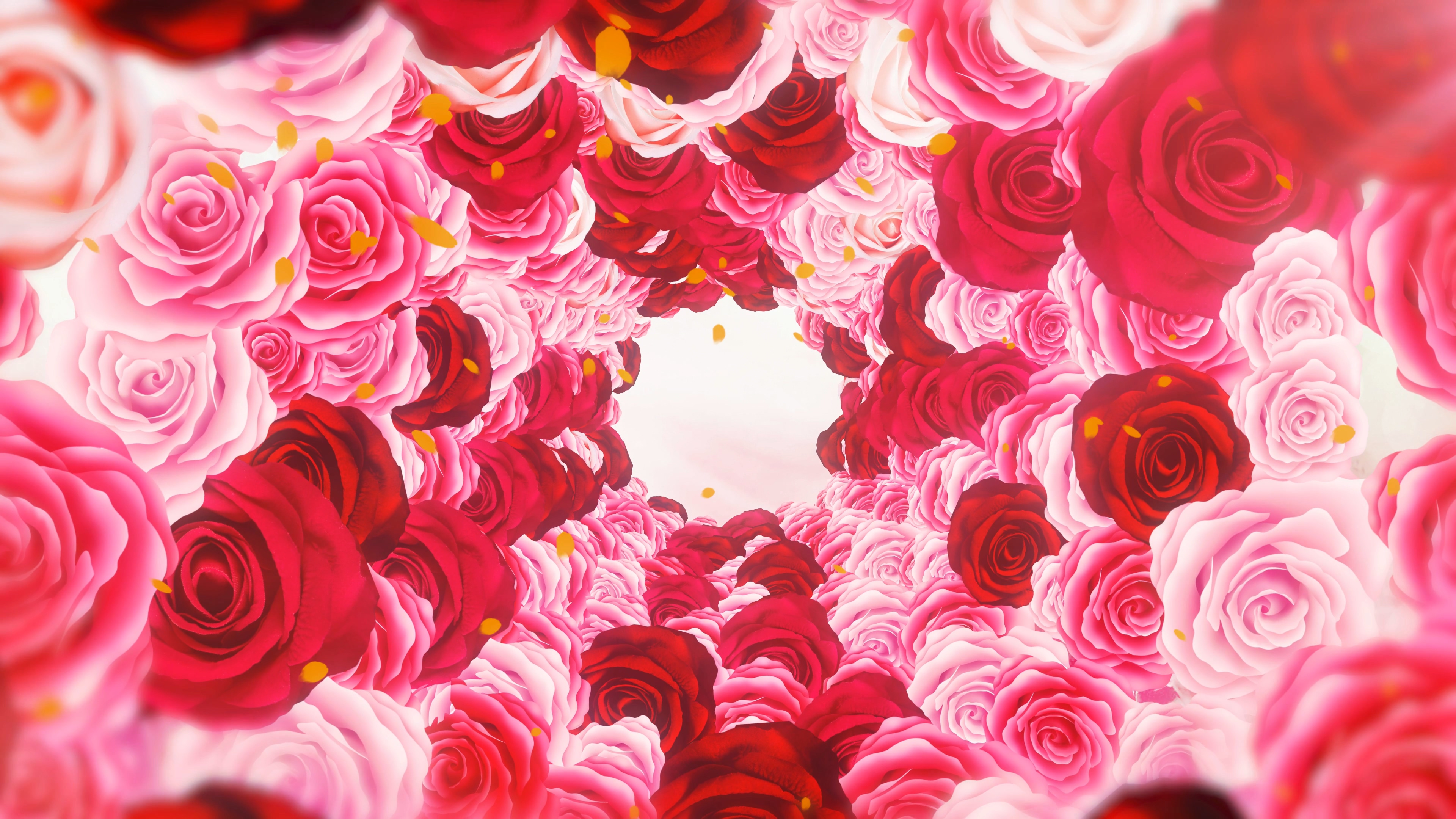 旋转的玫瑰花视频