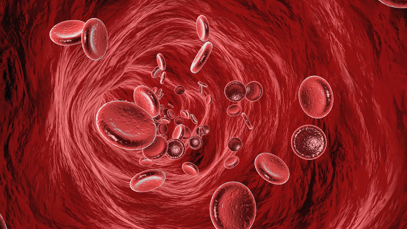 血管血液流动微血管mp4