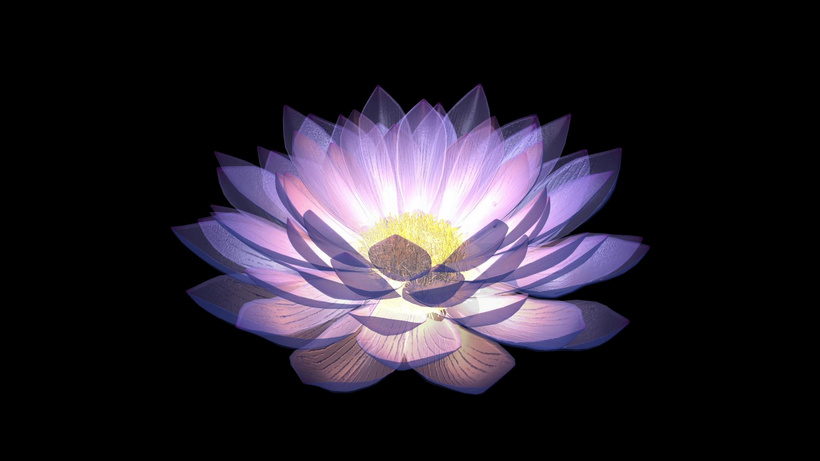 三维唯美莲花动画3d立体mov