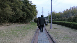 公园老人散步实拍视频素材视频素材