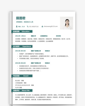 项目执行人员求职简历word文档