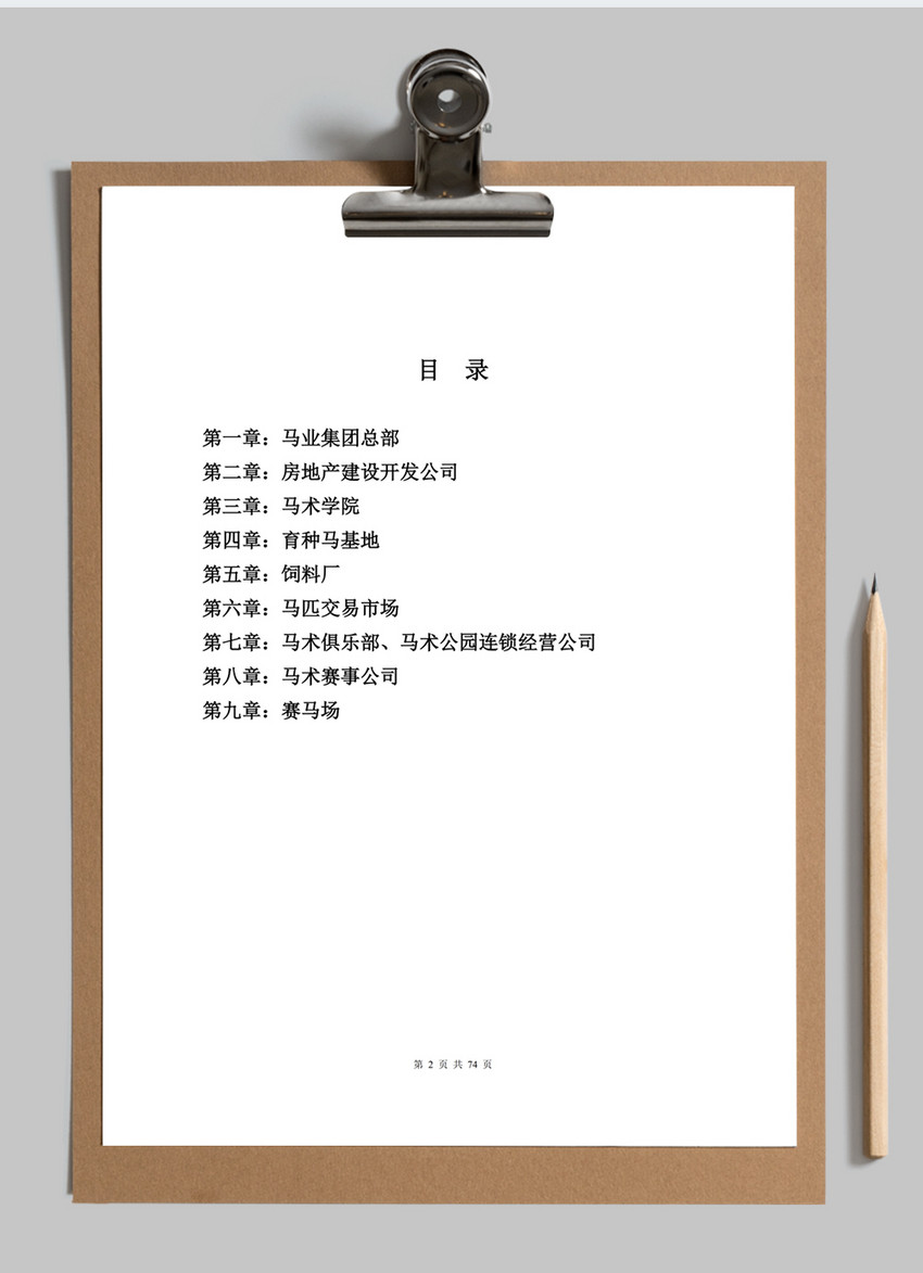 天津骑现代马业项目商业计划书word文档模板