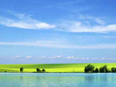 风吹 天堂 牧场 全景 草甸 农村 天气 季节 阳光 地平线