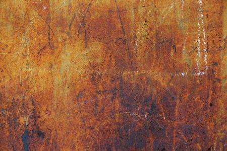 铁锈 锈病,锈菌 荒废,停滞 锈,锈色照片