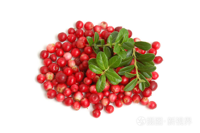 植越橘cranberry的名词复数