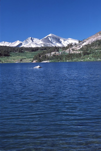 tenaya lake