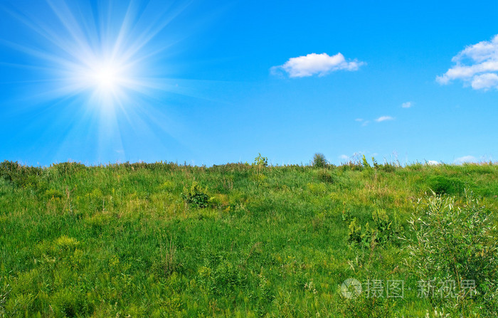 带山的夏季景观