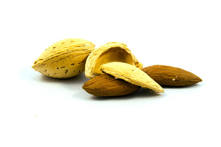 扁桃仁素材图片