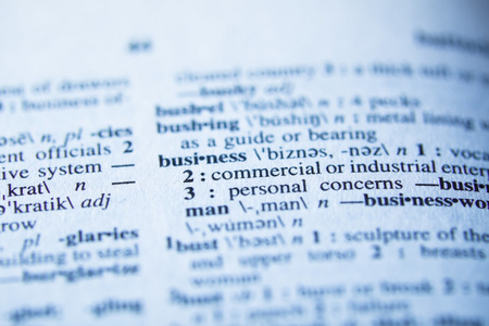 词典中的业务定义