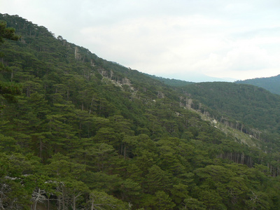 秋天的山景