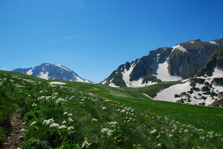 山，山岳 mountain的名词复数  山脉 群山