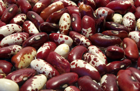 扁豆 haricot bean的名词复数 