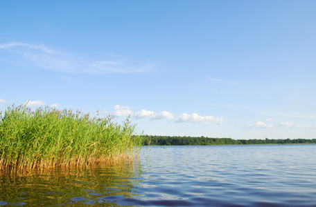 森林湖风景