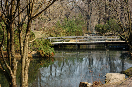 日本花园的木桥