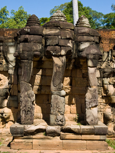 三头柬埔寨象