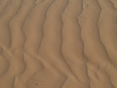 砂背景