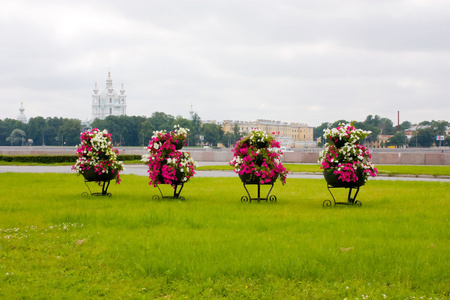 花床，花圃