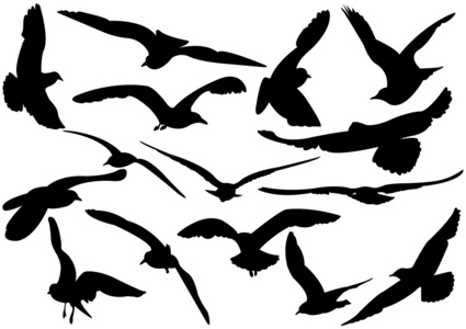 飞翔的海鸥矢量插图
