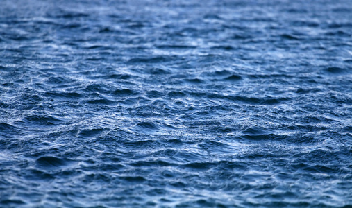 海水元素图片-海水元素素材-海水元素插画-摄图新视界