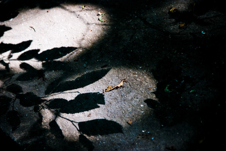 形影不离阴影 shadow的名词复数  影子 坏影响 形影不离的人物照片