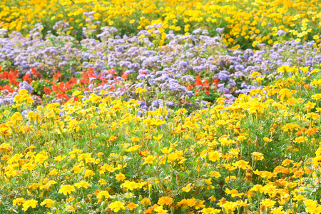 花背景