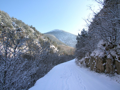 冬季景观