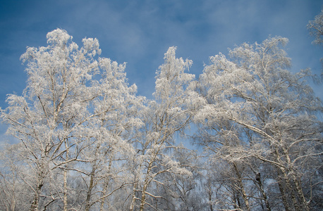 雪素材素材图片 雪素材图片素材下载 摄图新视界