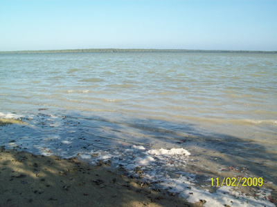 海 海洋 许多 大量