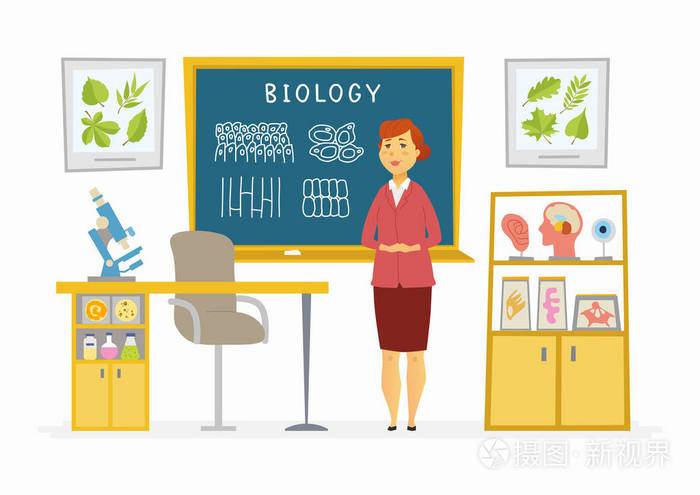 生物学课堂-女老师在黑板上的组成