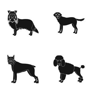 狗, 莱卡, 比格和其他黑色风格的网页图标。狮子狗, 动物, 耳朵图标集集合