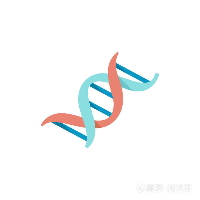 平的图标-dna 链