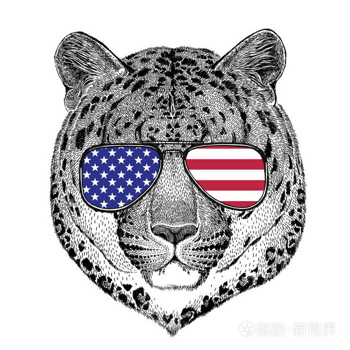 野生猫科动物豹纹猫-o-山豹手绘插图