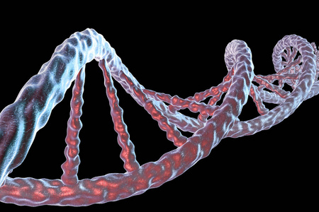 dna双螺旋图片-dna双螺旋素材-dna双螺旋插画-摄图新视界