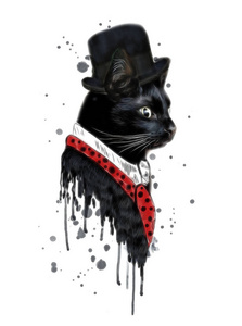 帽子里的黑猫