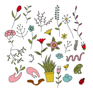 春天植物，花和动物一组