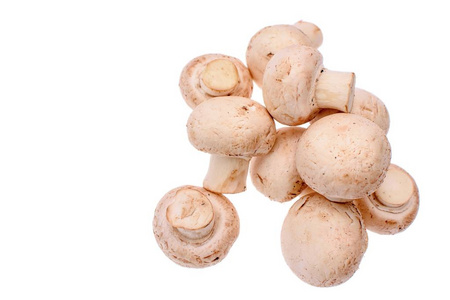 白蘑菇香菇孤立在白色背景上